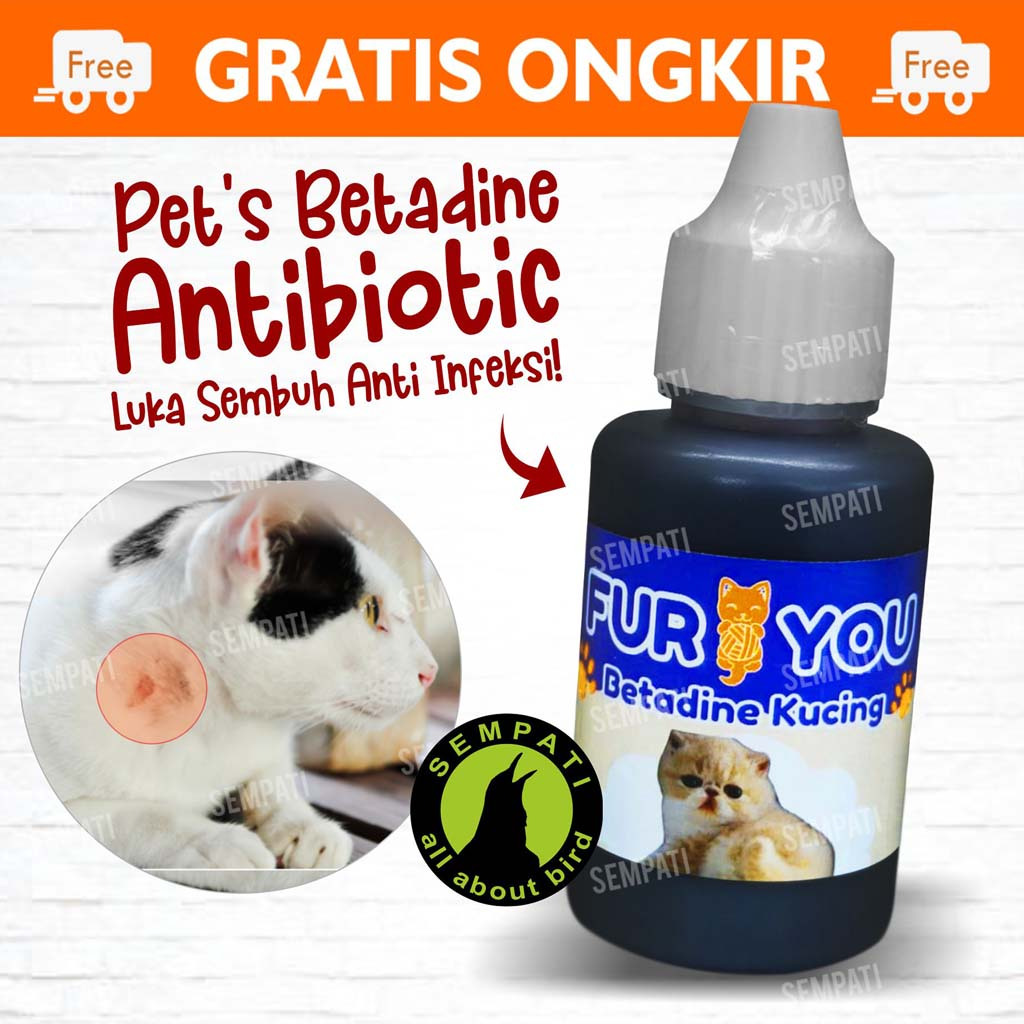 Jual Fur You Betadine Kucing Obat Luka Kucing Cat Kitten Anabul Obat