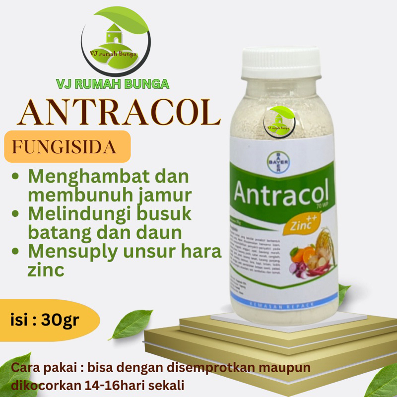 Jual Gr Fungisida Obat Hama Anti Jamur Tanaman Antracol Wp Zinc