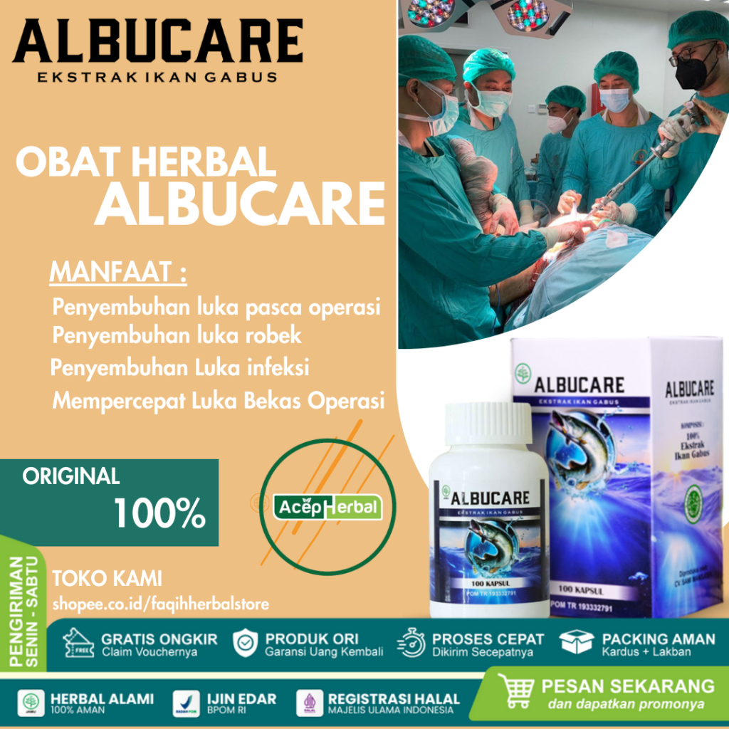 Jual Albucare Kapsul Kutuk Ikan Gabus Albumin Spesialis Pengering Luka