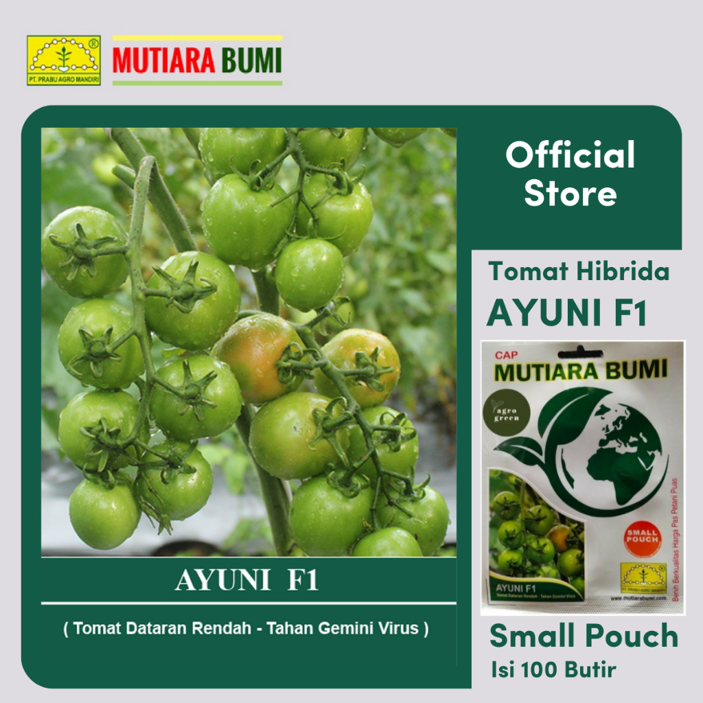 Jual BENIH TOMAT DATARAN RENDAH AYUNI F1 SMALL POUCH ISI 100 BUTIR