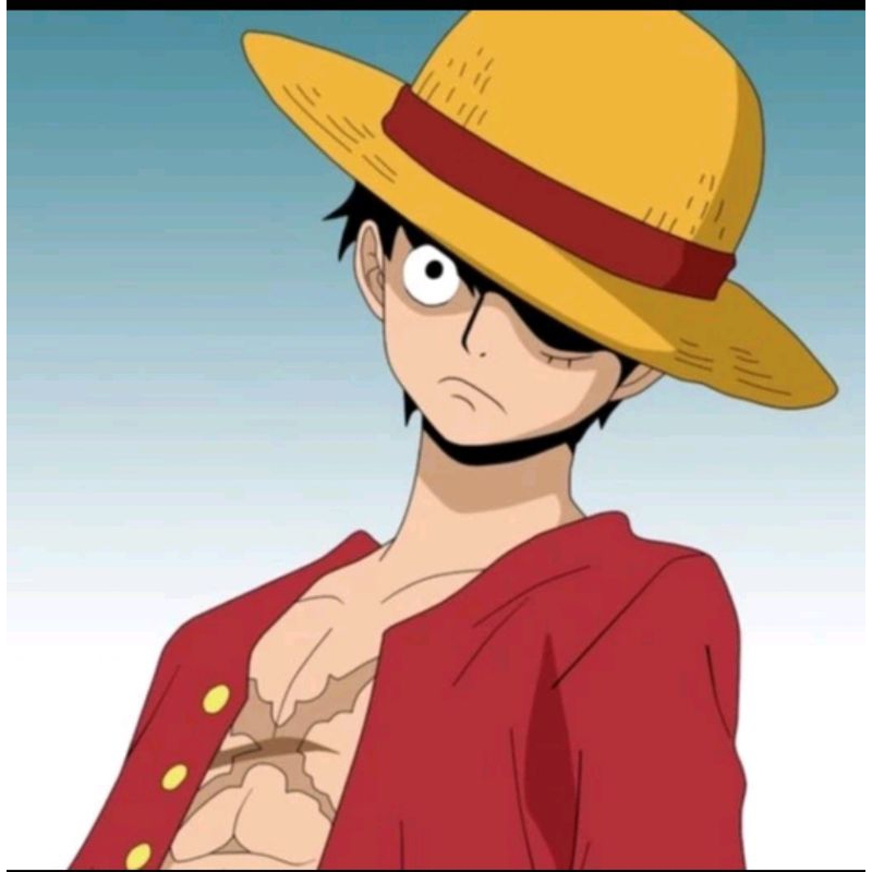 Jual Kostum Luffy One Piece Cosplay Kostum Anime Jepang Baju Foto