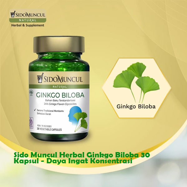 Jual Sido Muncul Herbal Ginkgo Biloba Kapsul Daya Ingat