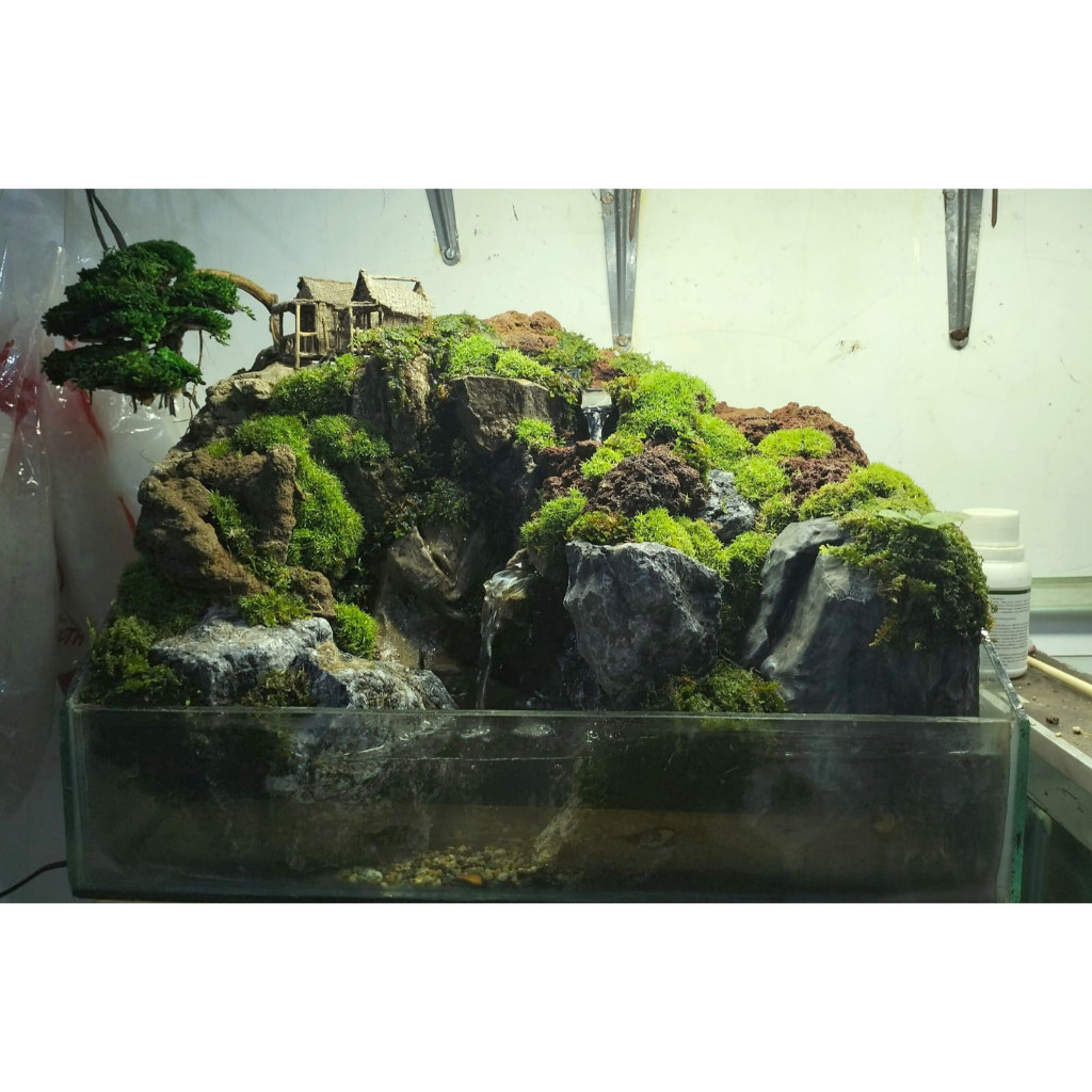 Jual Paludarium Moss Hidup X Cm Waterfall Diorama Bonsai Terrarium