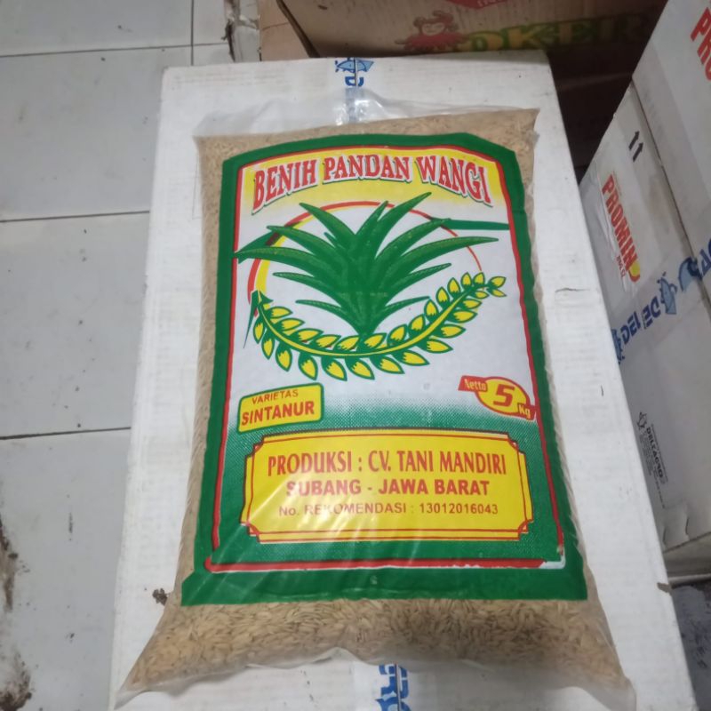 Jual Benih Padi Pandan Wangi Varietas Sintanur Kemasan Kg Shopee