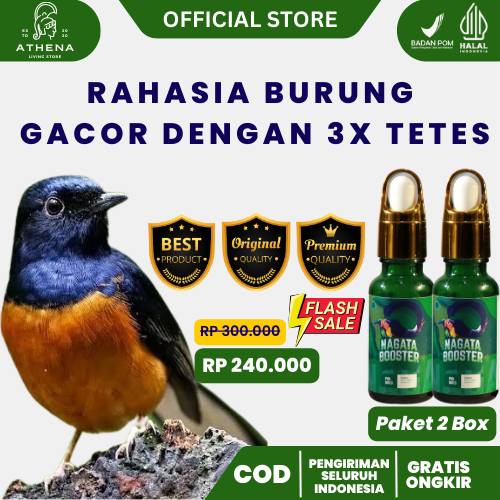 Jual NAGATA 2 BOX I NAGATA BOOSTER ATASI MABUNG BURUNG PENGGACOR BURUNG