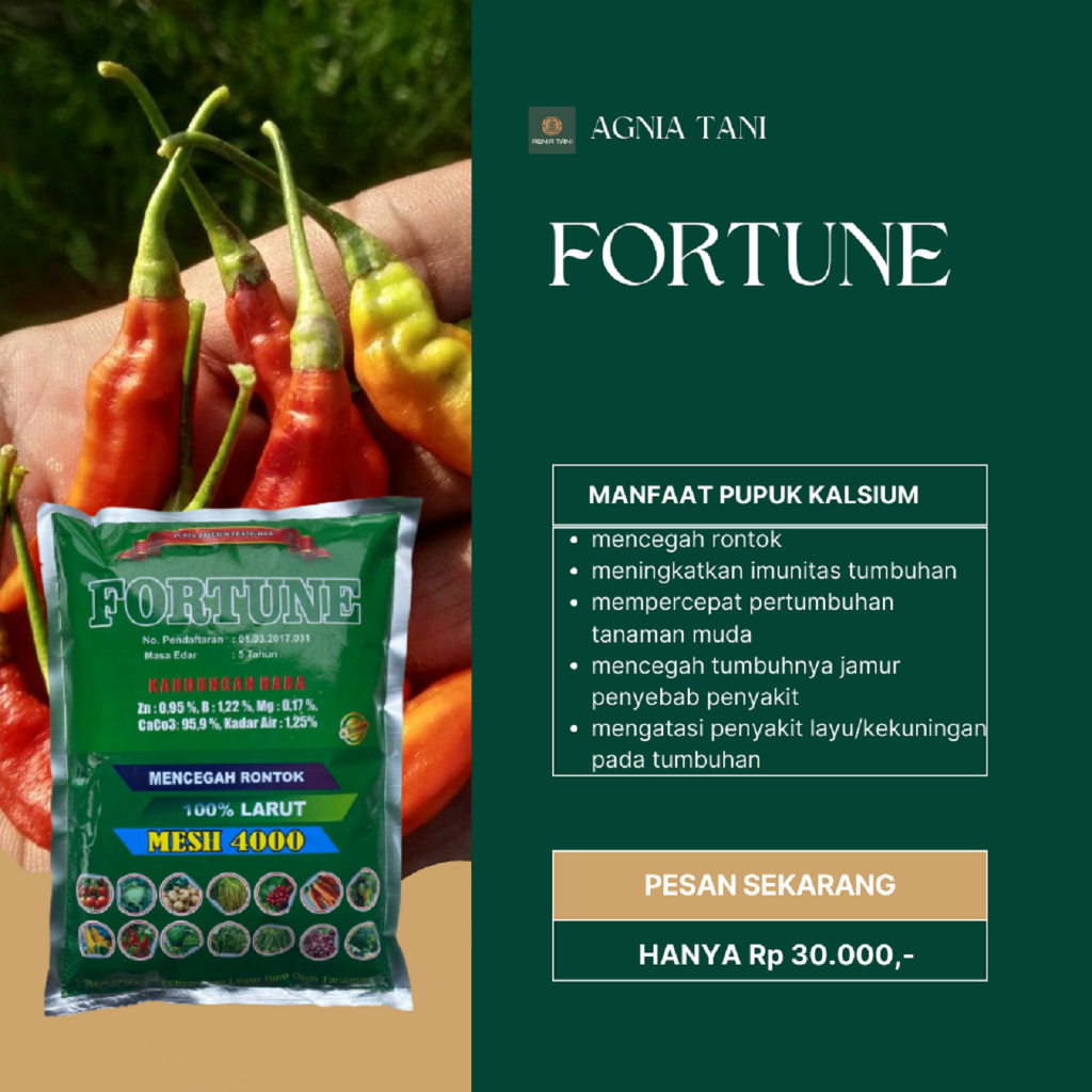 Jual Pupuk Pencegah Rontok Buah Pada Cabe FORTUNE Isi 1 Kg Pupuk