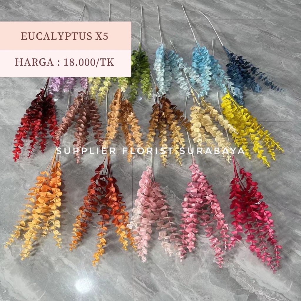 Jual Cabang Eucalyptus X Daun Dollar Eukaliptus Eucaliptus Leaves