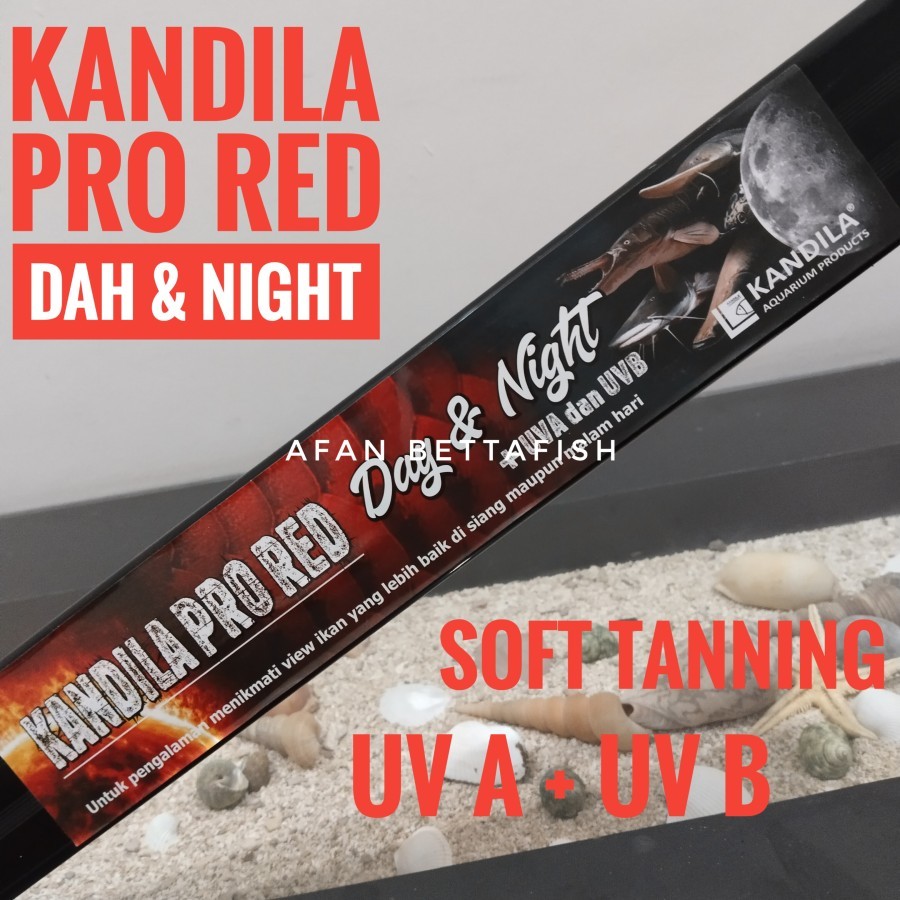 Jual KANDILA PRO RED DAY NIGHT UV A UV B LAMPU LED CELUP ARWANA VIEW