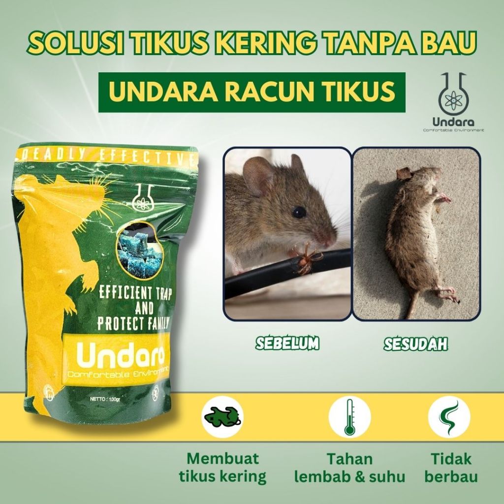 Jual Undara Racun Tikus Umpan Jebakan Obat Alat Racoon Rat Pembasmi