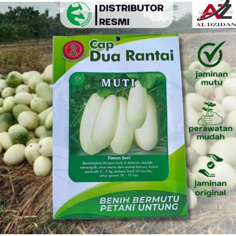 Jual Benih Bibit Unggul Timun Suri Putih Muti Isi Kemasan Grm