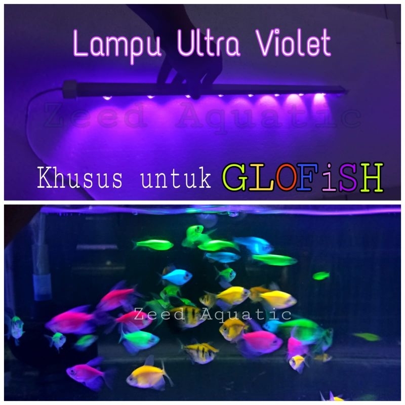 Jual Lampu Uv Ultraviolet Hpl Diy Khusus Untuk Ikan Glow Fish Glow In