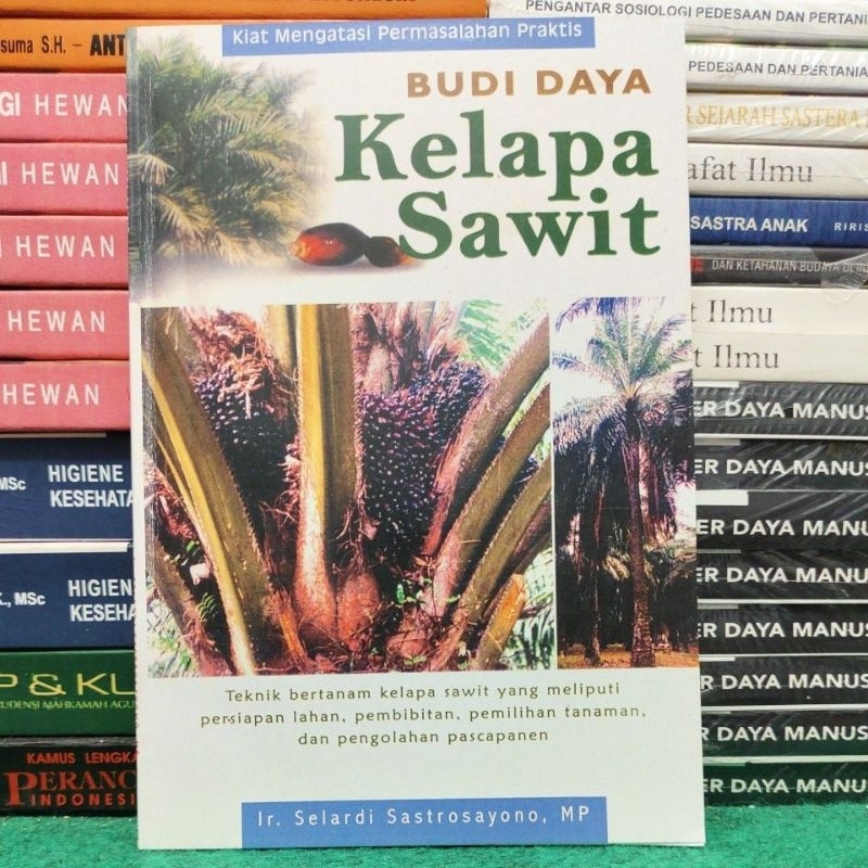 Jual Budidaya Kelapa Sawit Shopee Indonesia