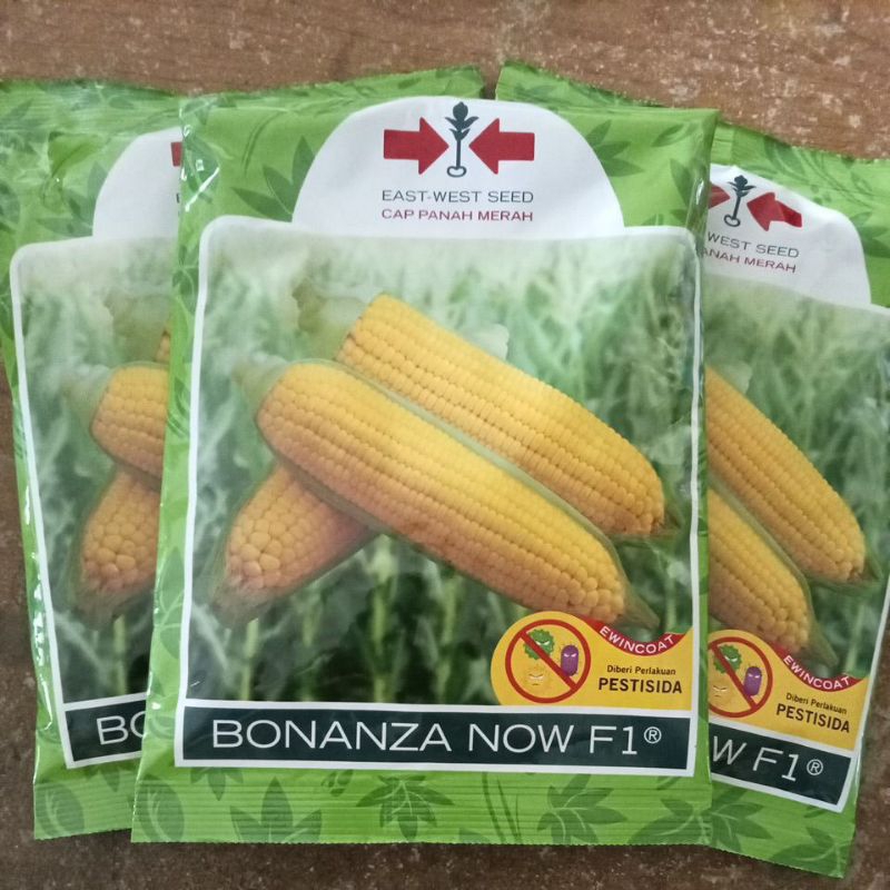 Jual Benih Jagung Manis Bonanza Now F Biji Berat Gram