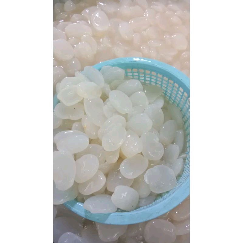 Jual KOLANG KALING SEGAR 1kg COCOK UNTUK BIKIN KOLEK Shopee Indonesia