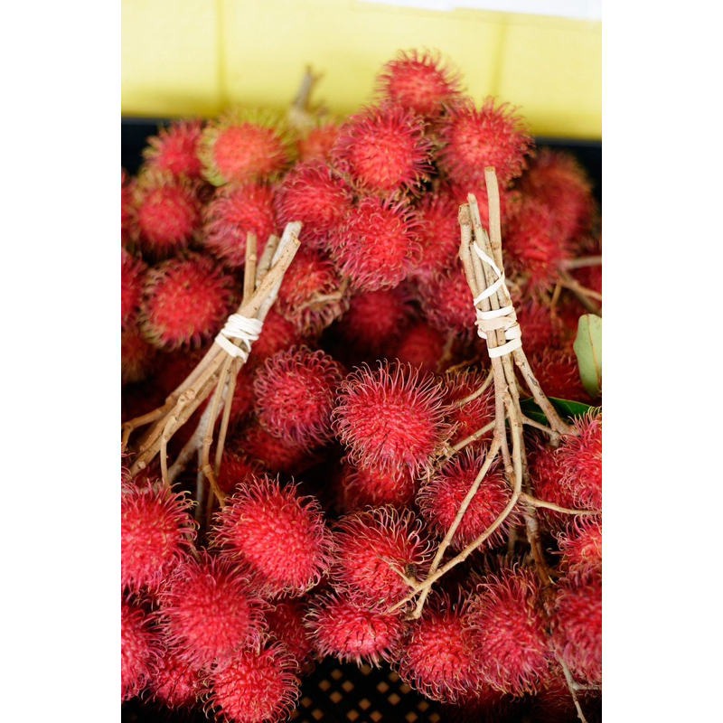 Jual Buah Rambutan Segar Fresh Gram Murah Shopee Indonesia