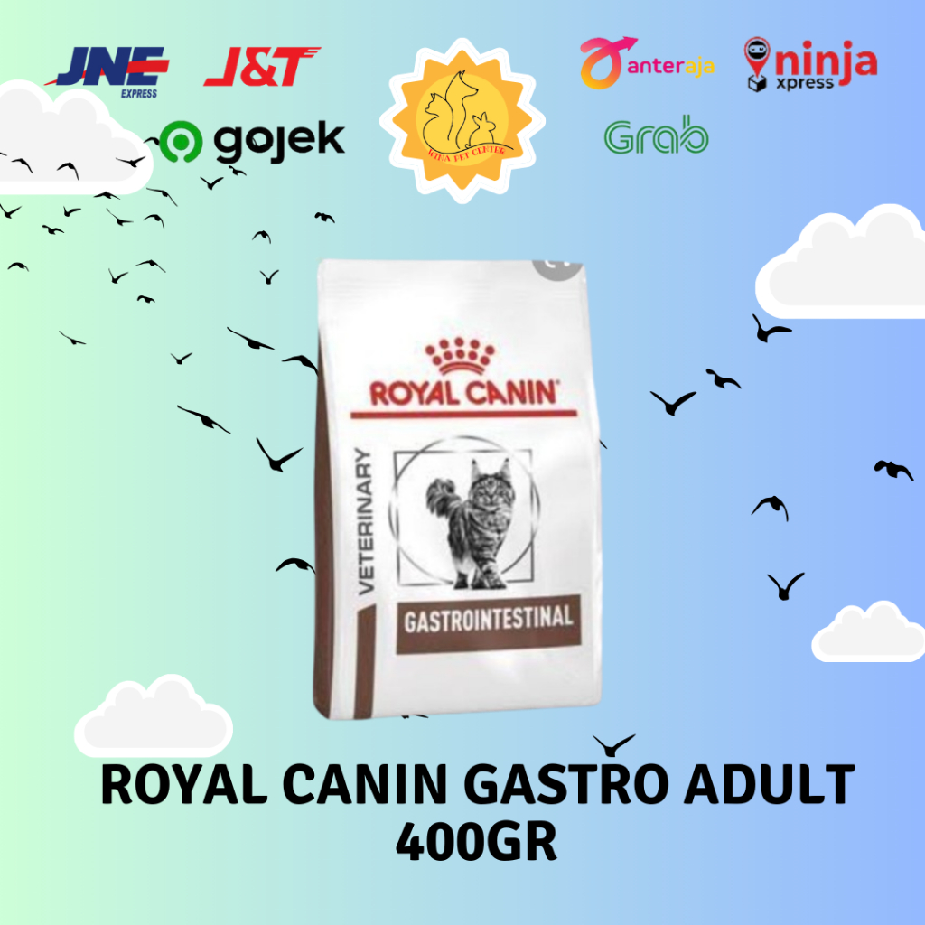 Jual Royal Canin Gastro Intestinal Kucing Cat 400gr 400 Gr Freshpack