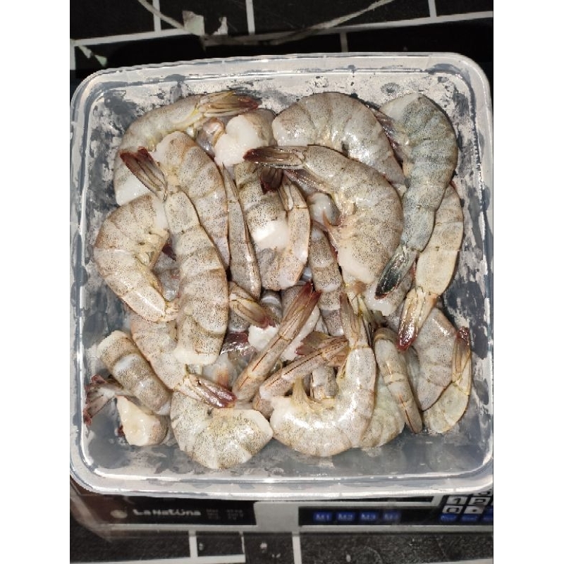 Jual Udang Vaname Kg Isi Pcs Segar Fresh Frozen Udang Vaname Beku