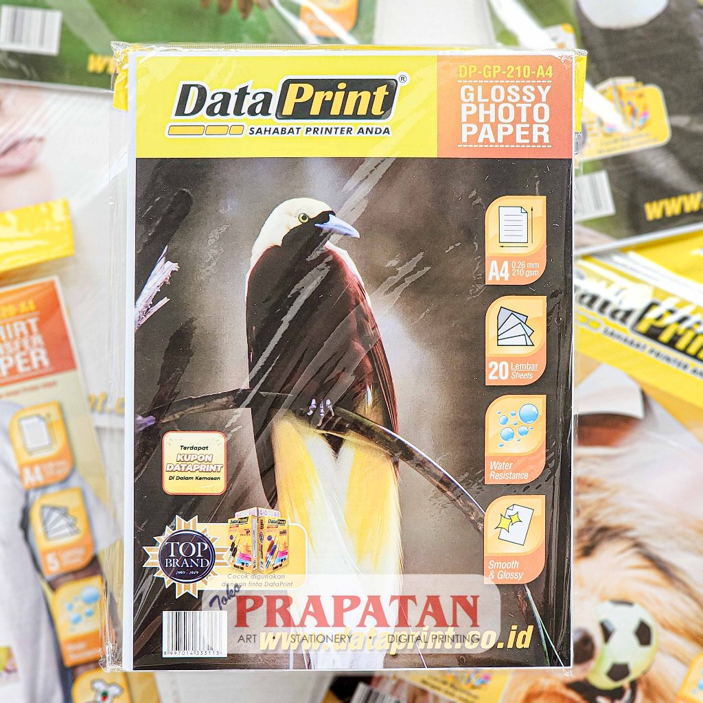 Jual Data Print Glossy Photo Paper DP GP 210 A4 Kertas Foto Shopee