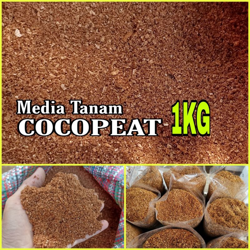 Jual 1kg Cocopeat Media Tanam Cocopit Sabut Kelapa Cocofit Shopee