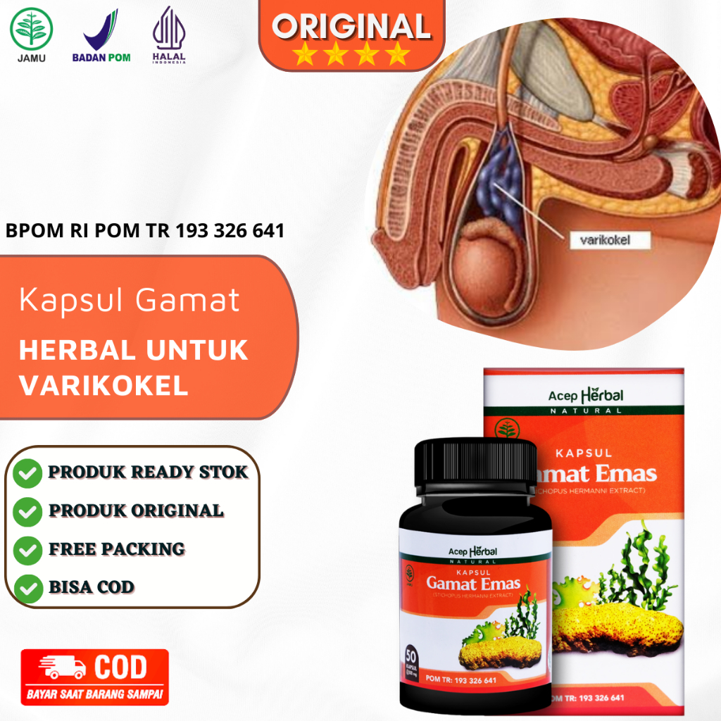 Jual Obat Varikokel Pembengkakan Buah Zakar Nyeri Testis Benjolan Di