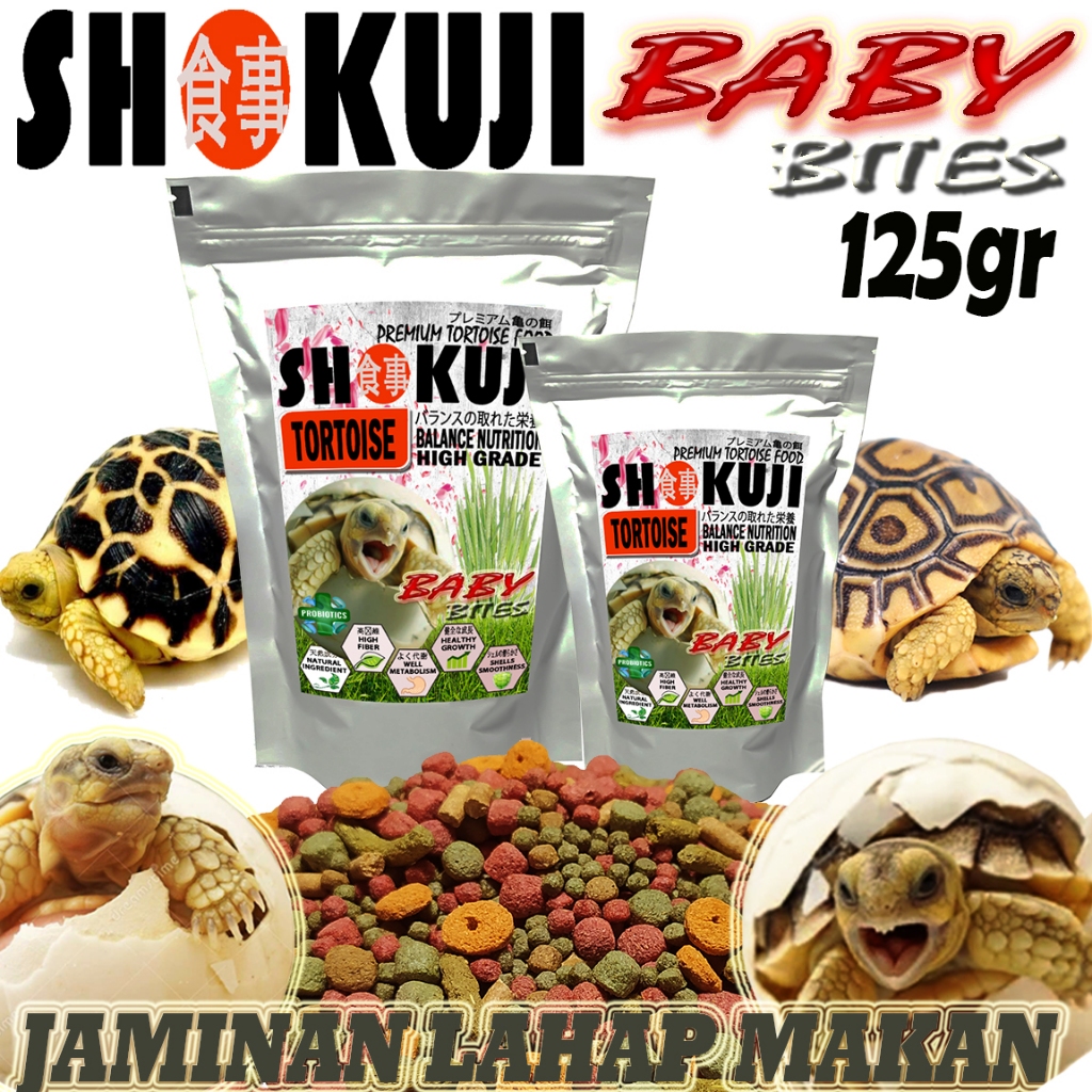 Jual 125GR SHOKUJI MAKANAN BABY KURA DARAT BITES PELLETS SMALL SULCATA