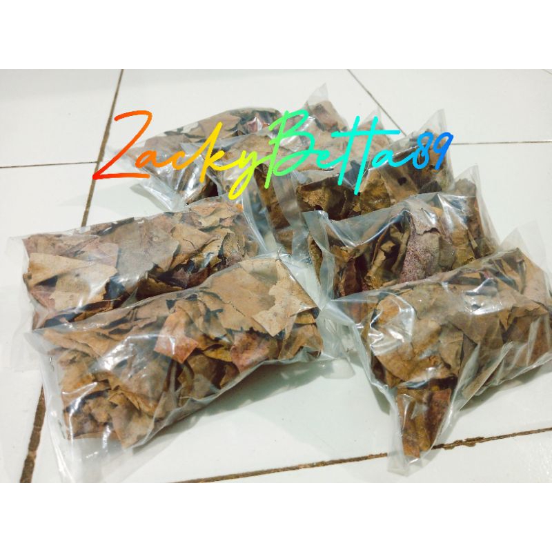 Jual Daun Ketapang Gram Shopee Indonesia