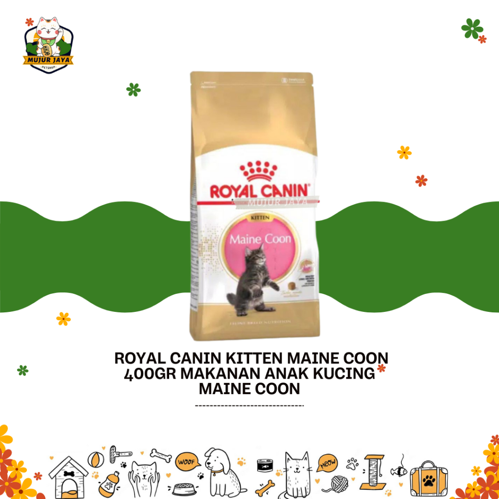 Jual Makanan Kucing Royal Canin Kitten Maine Coon 400g Freshpack