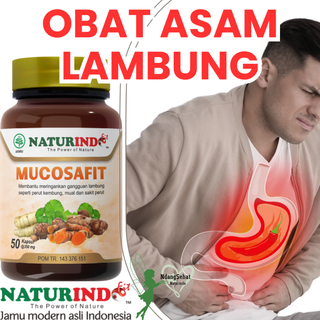 Jual Obat Asam Lambung Maag Gerd Mucosafit Herbal Naturindo Shopee