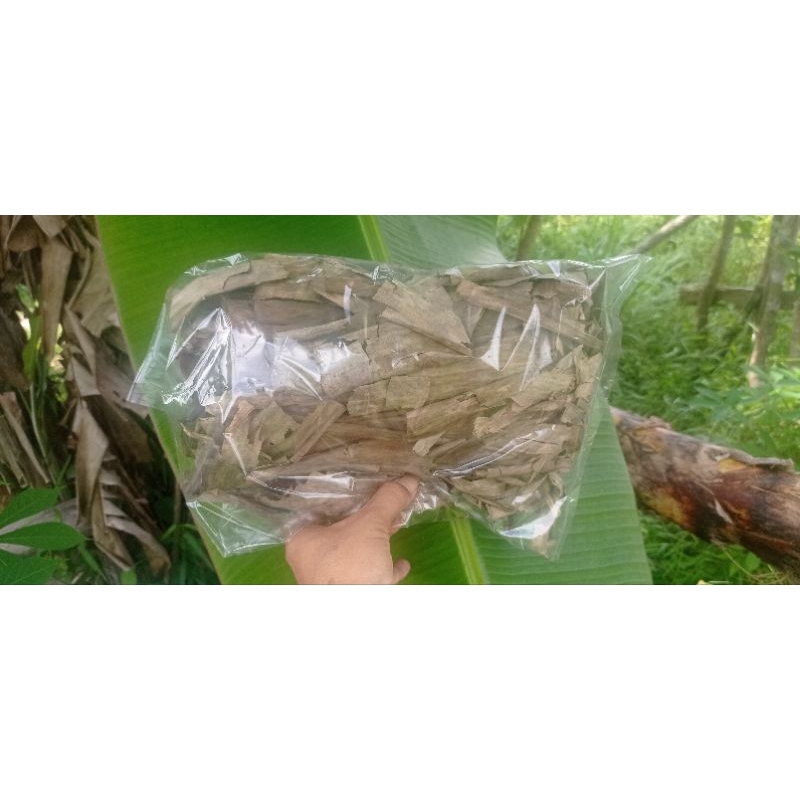 Jual Daun Pisang Kering Shopee Indonesia