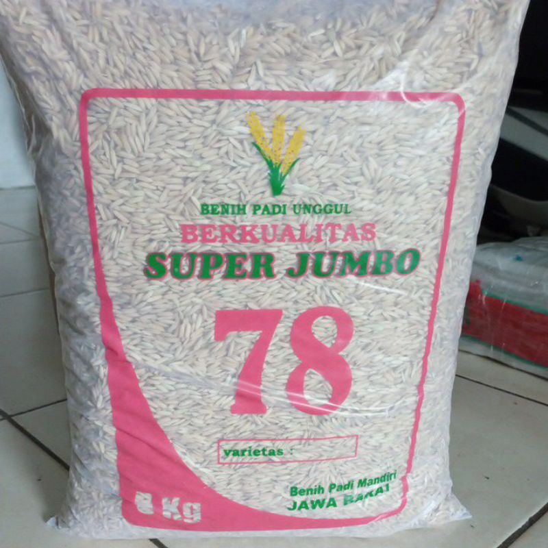 Jual Benih Padi Unggul Super Jumbo Varietas Inpari Kg Shopee