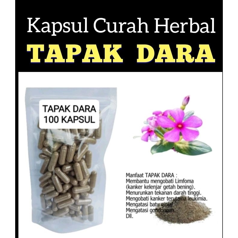 Jual Daun Tapak Dara Kapsul Curah Herbal Shopee Indonesia