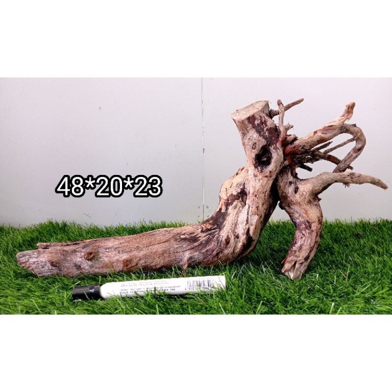 Jual Kayu Santigi Laut Tenggelam Aquascape Ukuran 40 70cm Shopee