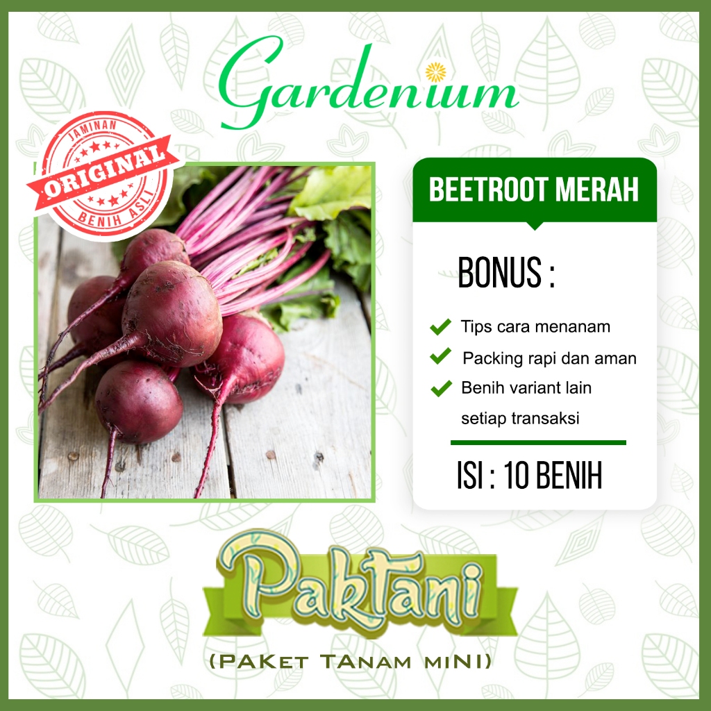 Jual Benih Beetroot Merah F Hibrida Super Benih Tanaman Buah Bit