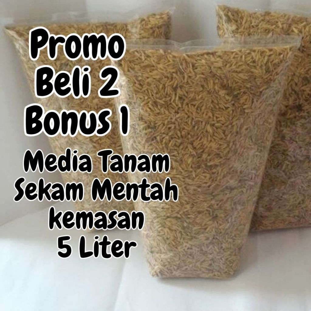 Jual Sekam Mentah Padi Kemasan 5 Liter Media Tanam Shopee Indonesia