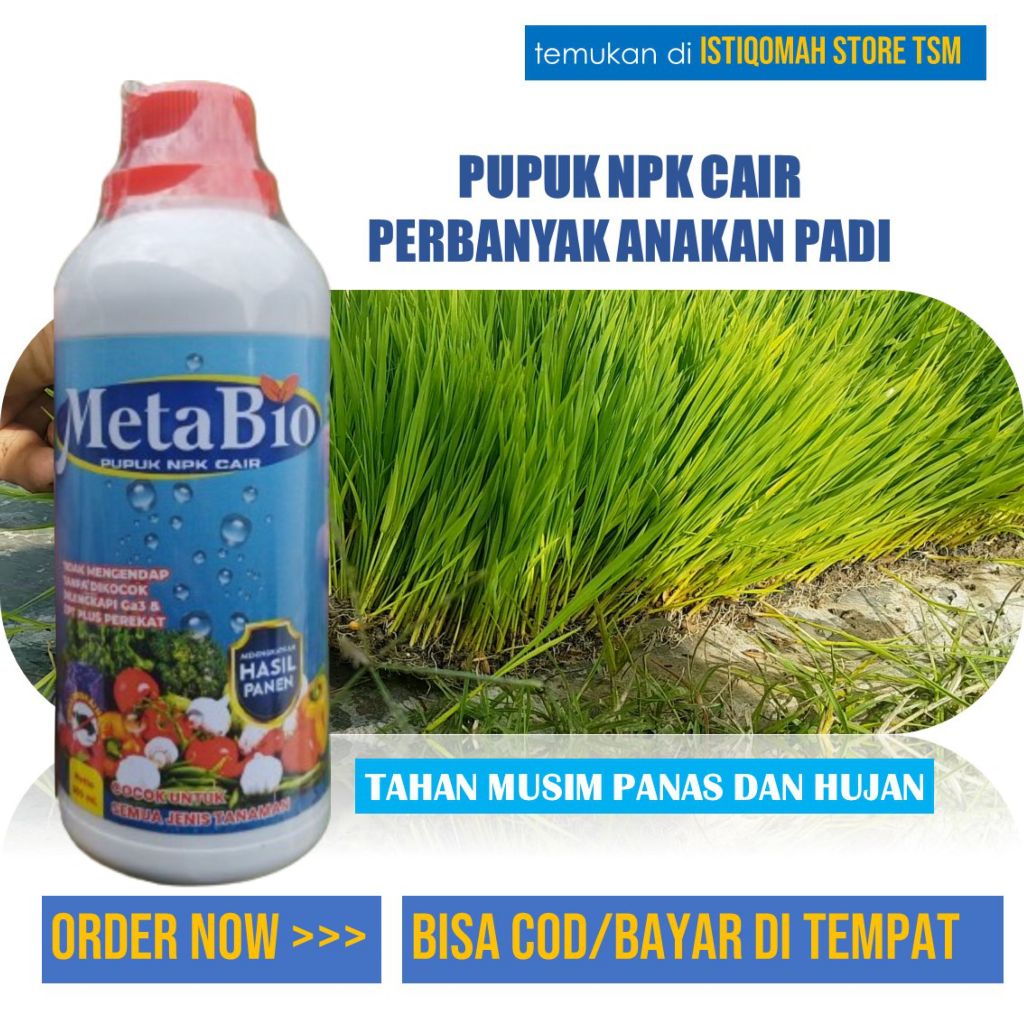 Jual METABIO Pupuk NPK Cair 500 ML Solusi Efektif Untuk Padi Lebih