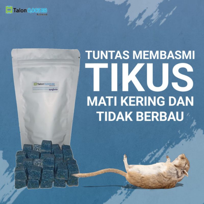 Jual Racun Tikus Super Ampuh Pembasmi Tikus Mati Kering Talon Umpan