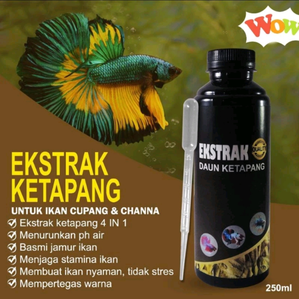 Jual Extrak Daun Ketapang 250ml Super Pekat Free Pipet Untuk Perawatan