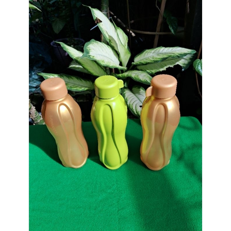 Jual Tupperware Eco Bottle Ml Tutup Ulir Shopee Indonesia