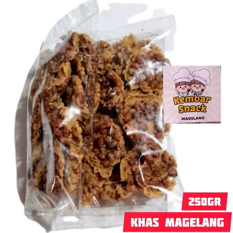 Jual Peyek Kacang Khas Magelang Full Kacang Gurih Renyah Shopee Indonesia