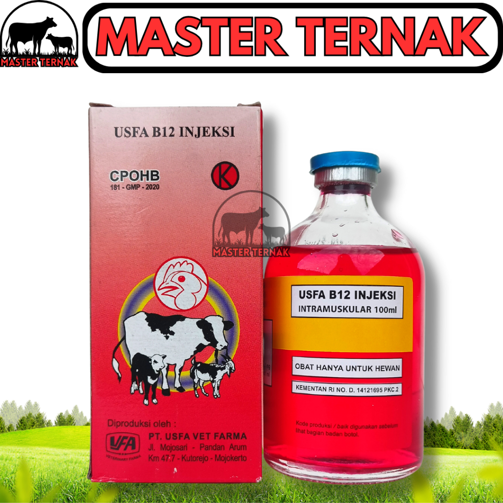 Jual Usfa B Injeksi Ml Vitamin B Untuk Hewan Mengatasi