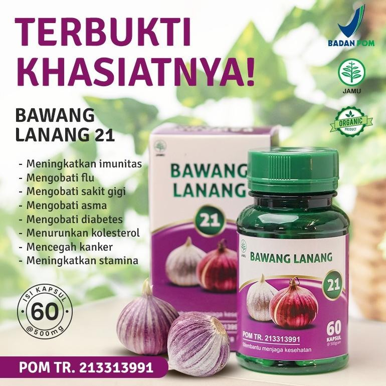 Jual Kapsul Ekstrak BAWANG LANANG Bpom Obat Kolestrol Dan Darah