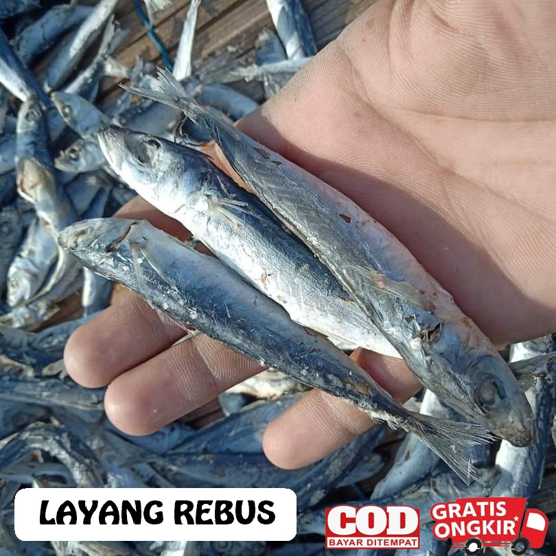 Jual Ikan Asin Layang Rebus 250 Gram Ikan Klotok Rebus Pindang Kering