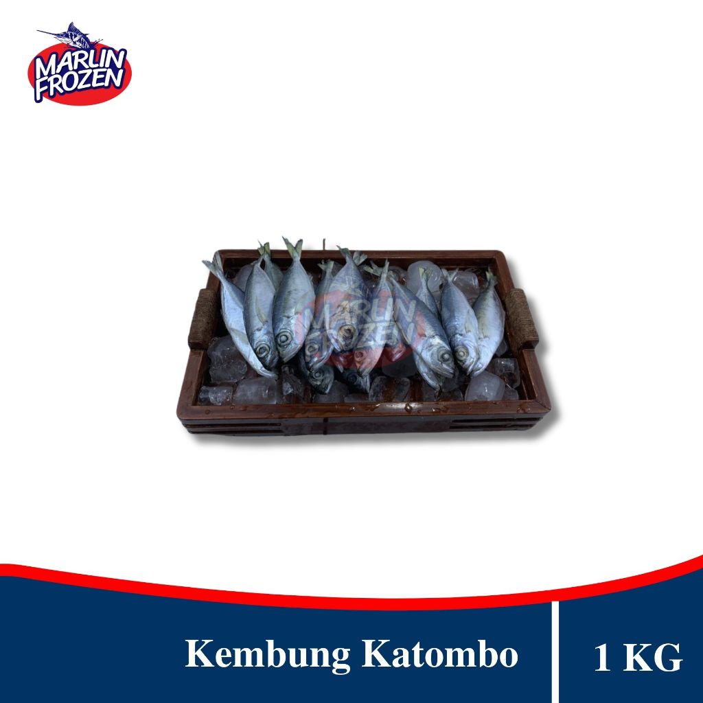 Jual Ikan Kembung Katombo 1 Kg Ikan Kembung Curah Shopee Indonesia