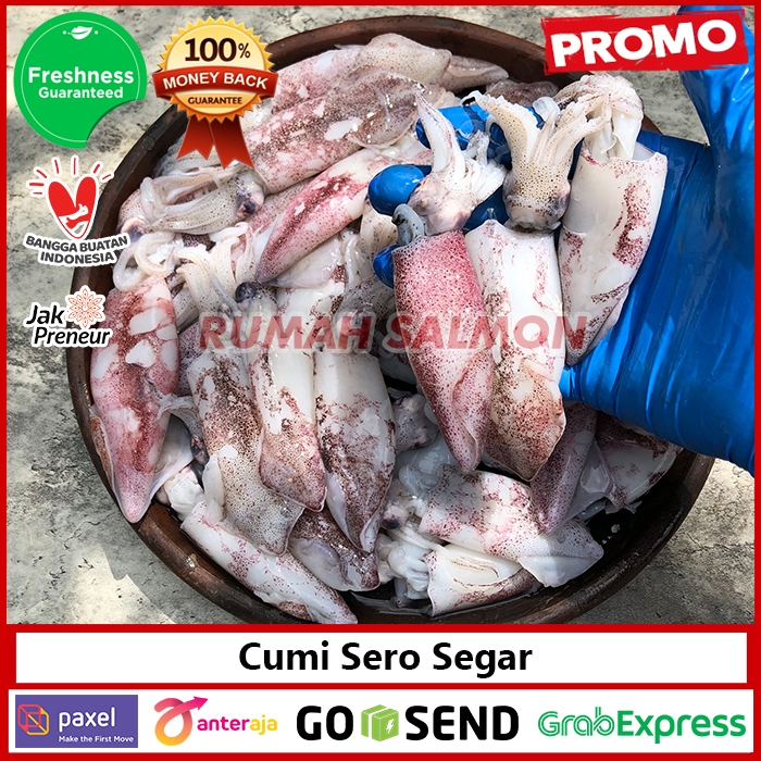 Jual Cumi Sero Fresh Utuh Cumi Laut Seafood Segar Squid Sea Fresh