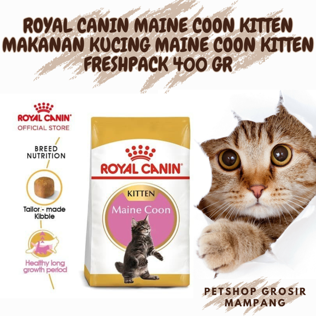 Jual ROYAL CANIN Kitten Mainecoon Makanan Kucing Untuk Maine Coon 400