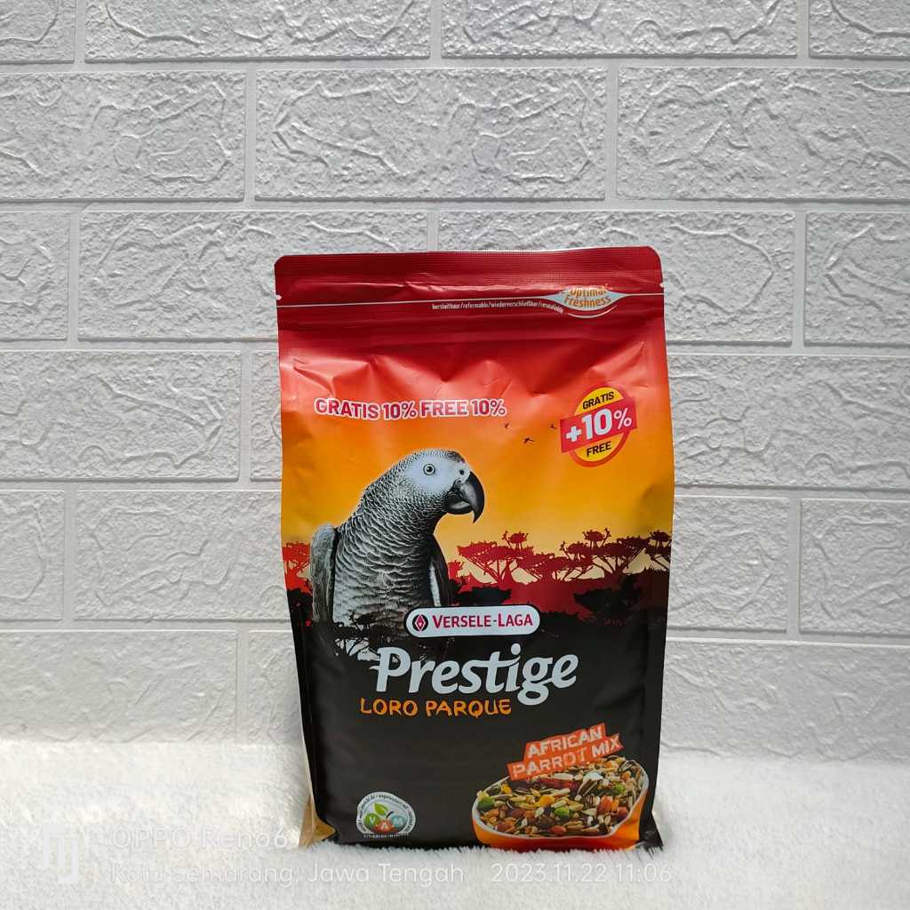 Jual Prestige African Parrot Loro Paraque 1kg Shopee Indonesia