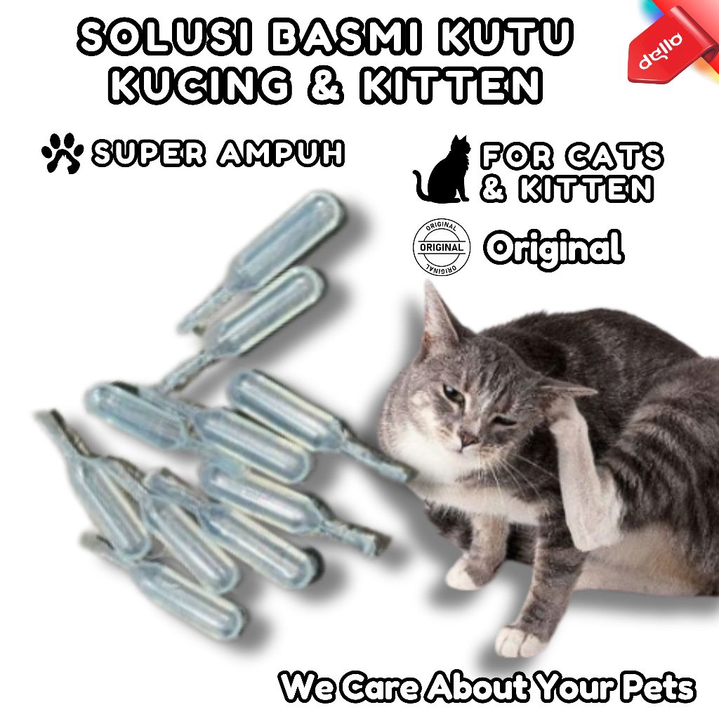 Jual Obat Tetes Kutu Kitten Kucing Ml Solusi Basmi Flea Anabul Anda