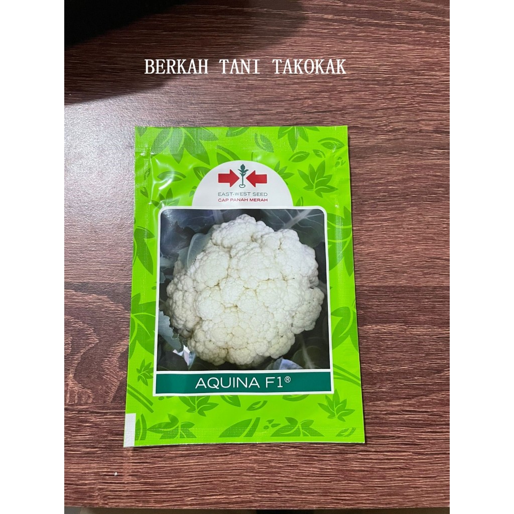 Jual Benih Burkol Bunga Kol Aquina F Gram Cap Panah Merah Bibit