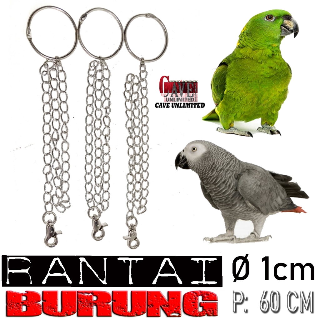 Jual Rantai Rante Borgol Ring Kaki Burung Kakatua Macaw Burung Hantu