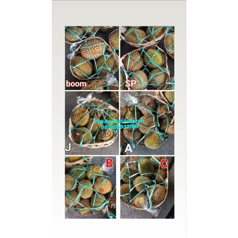 Jual DURIAN BALI LOKAL DURIAN KERANJANG DURIAN SURABAYA Shopee Indonesia